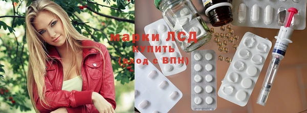 дмт Болотное