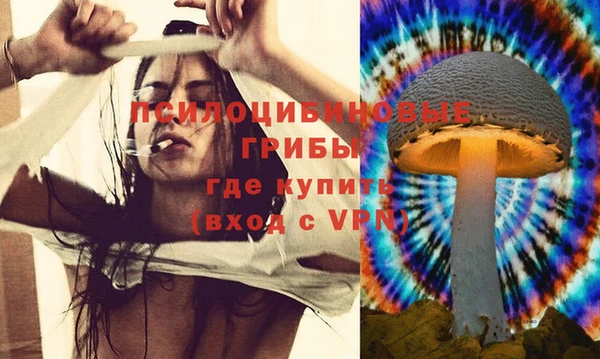дживик Сосновый Бор