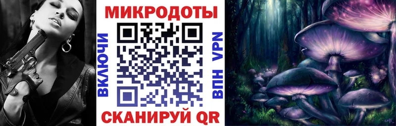Галлюциногенные грибы Cubensis Александровск